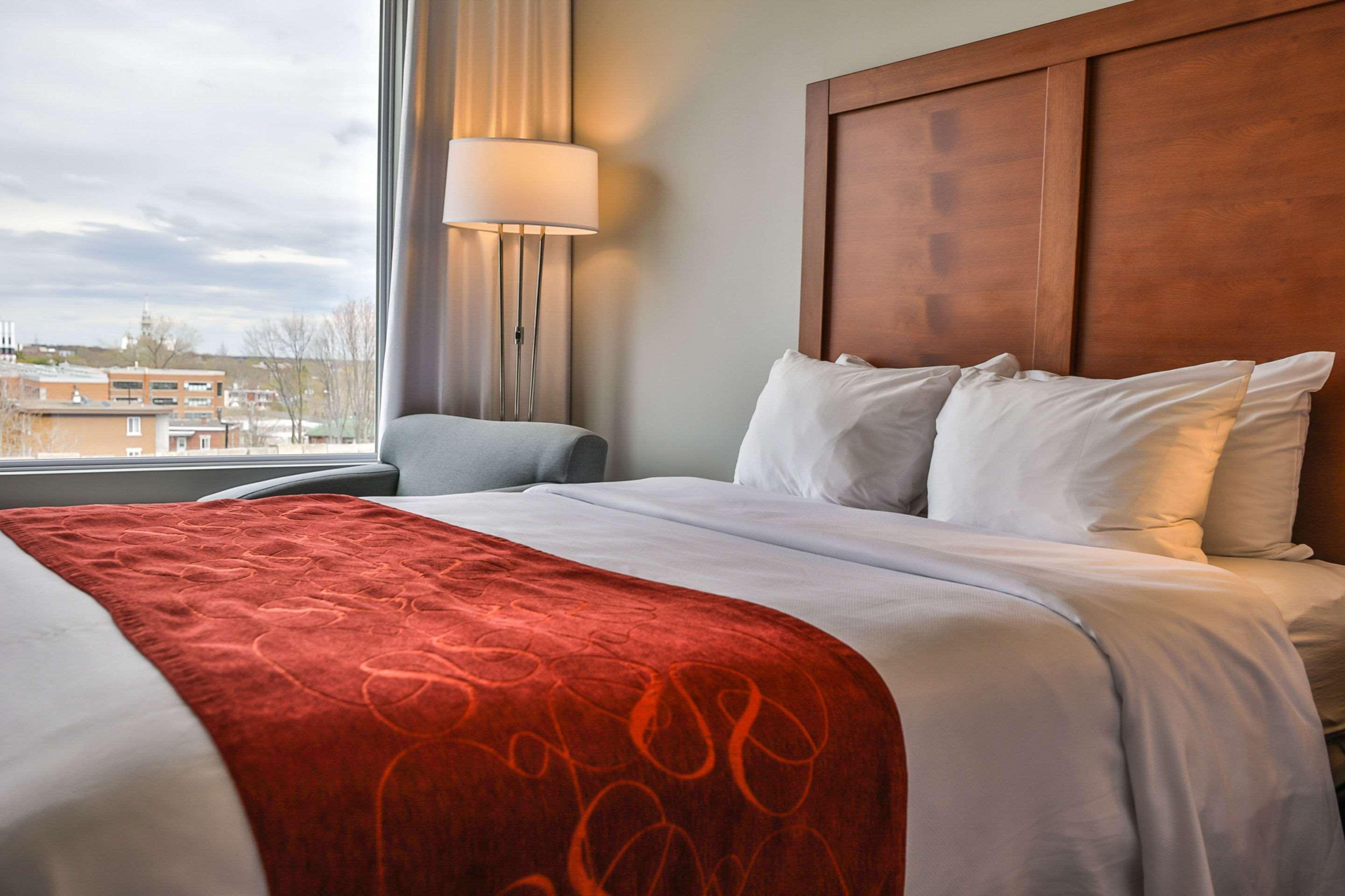 Comfort & Hotel