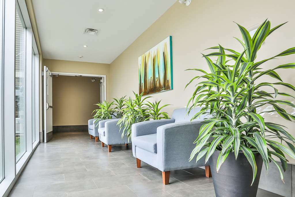 Hotel Comfort &