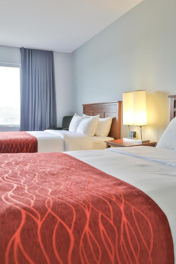 Comfort & Hotel
